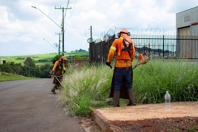 Commercial Lawn Mowing