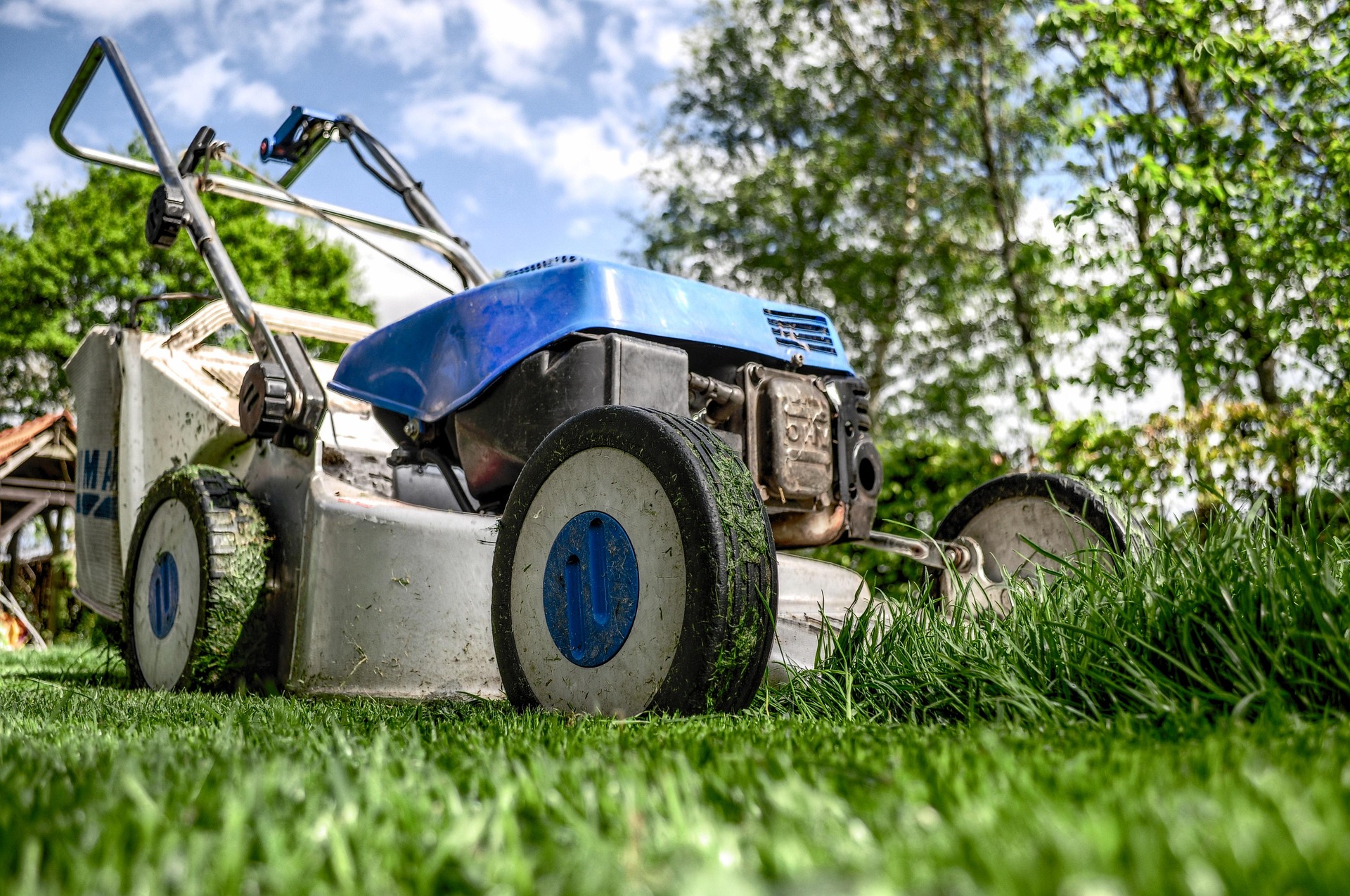 Large retailers lawn cutter