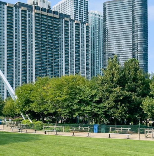 commercial Buildings Lawn