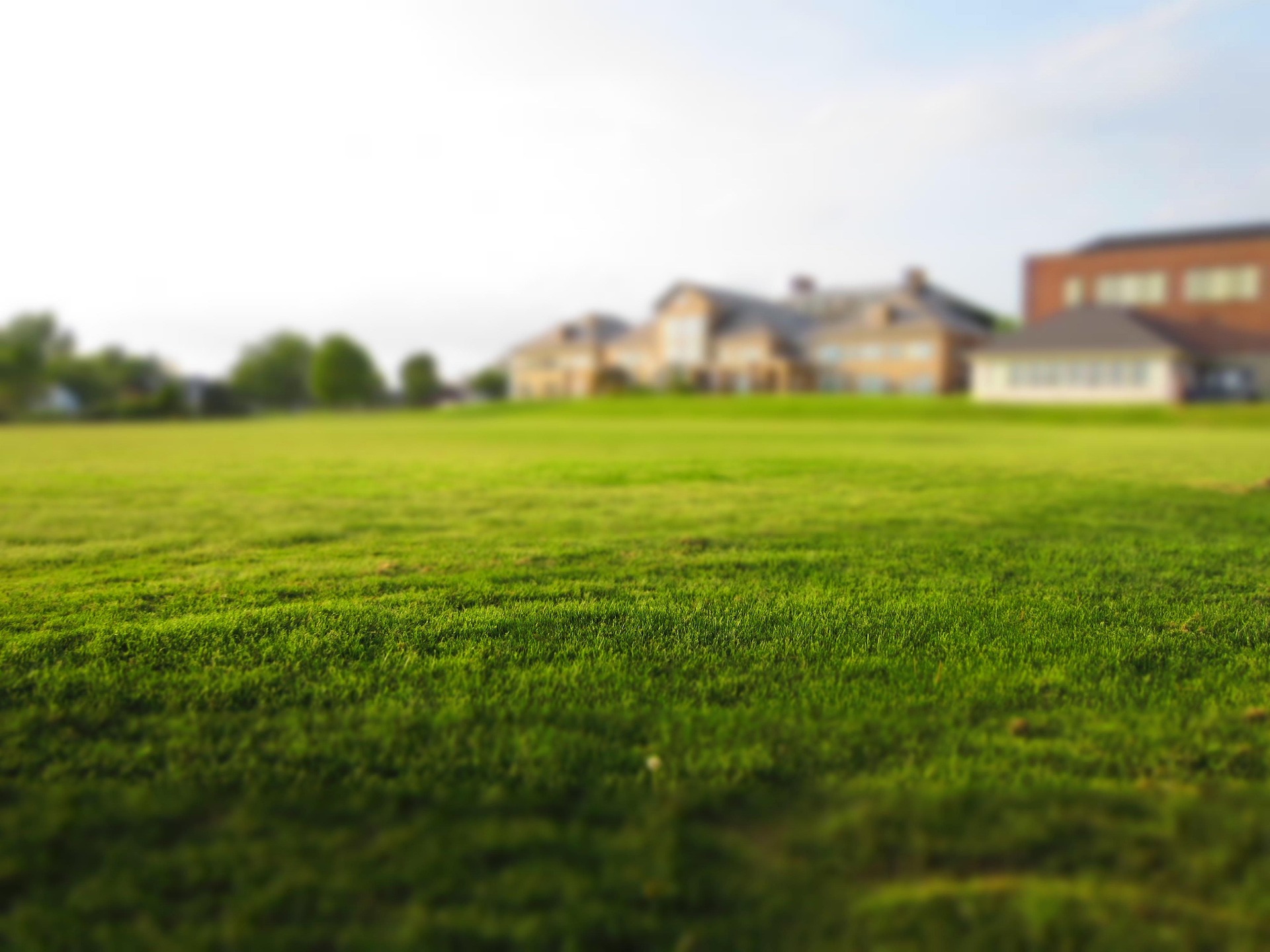 healthcare facilities lawn