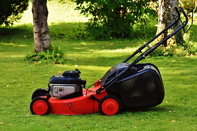 lawn process